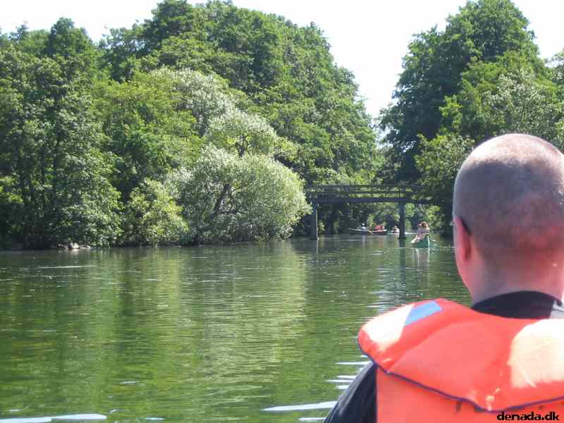 * Image 8