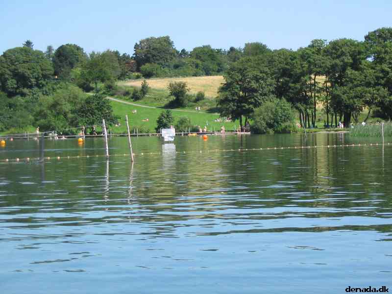 * Image 12
