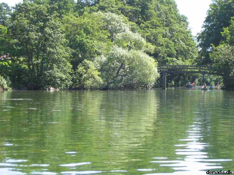 * Image 13