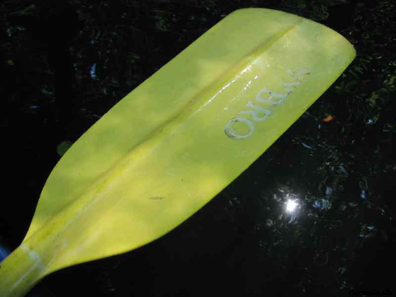 * Image 48