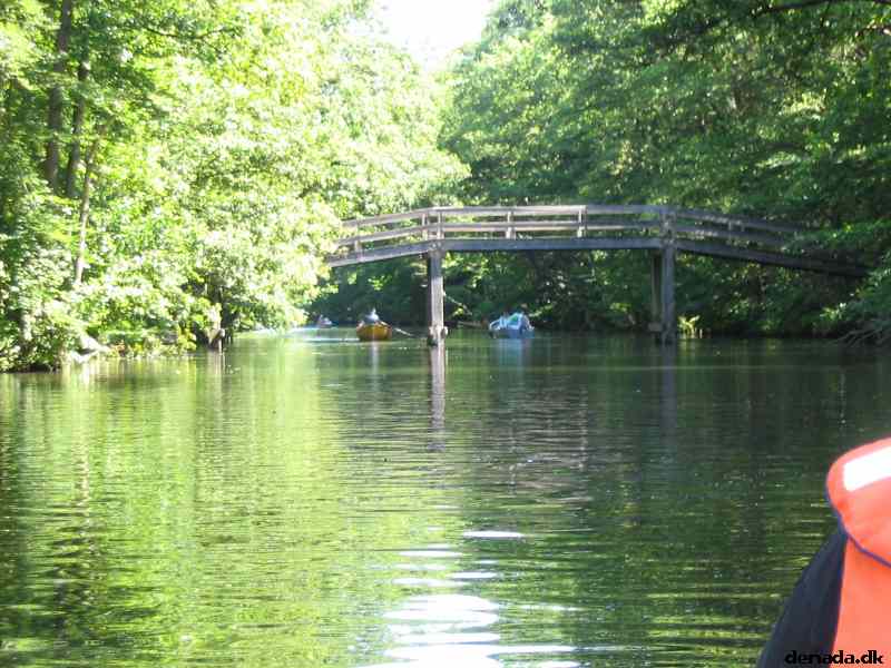 * Image 52