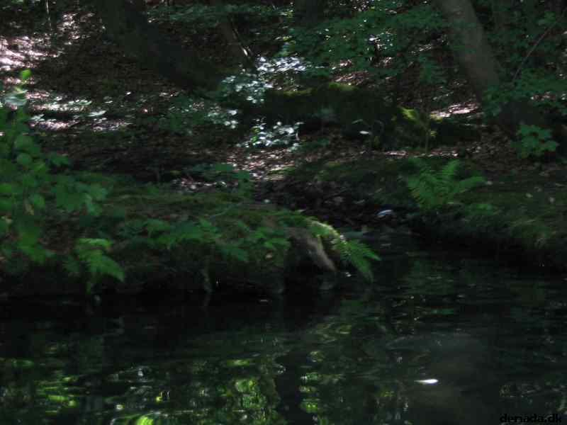 * Image 60