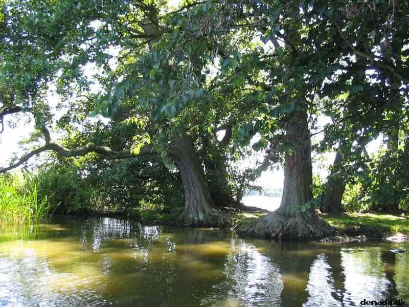 * Image 78