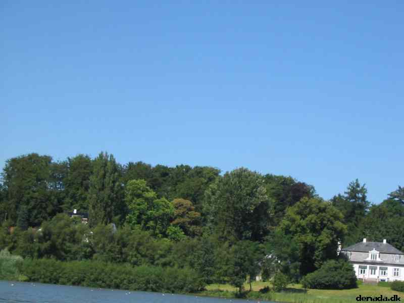 * Image 83