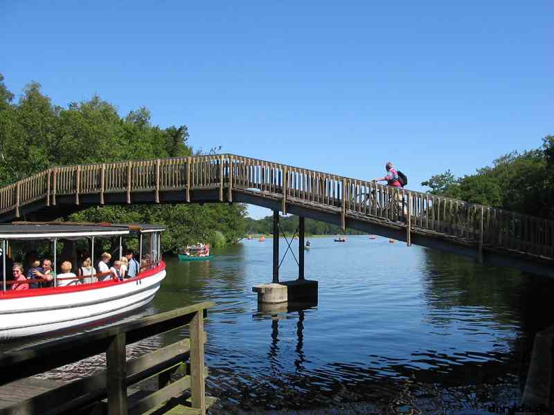 * Image 90