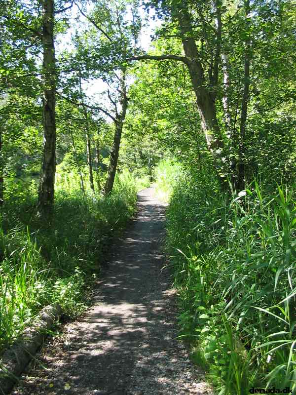 * Image 103