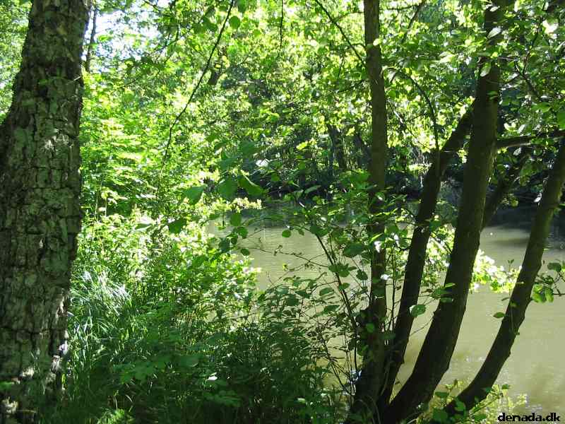 * Image 108