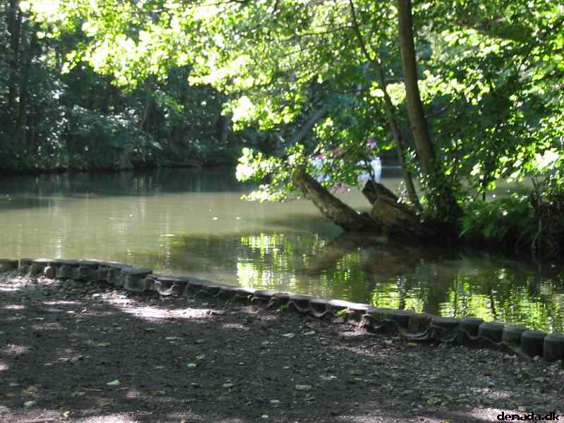 * Image 111