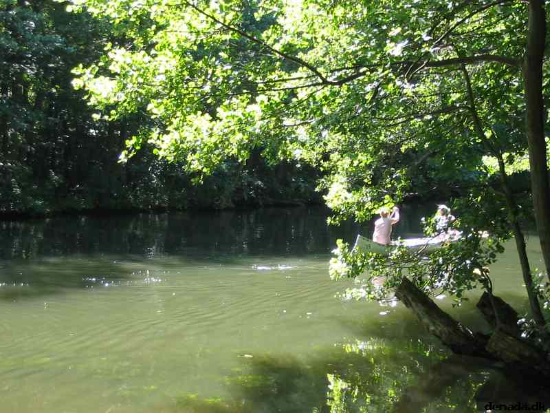 * Image 114
