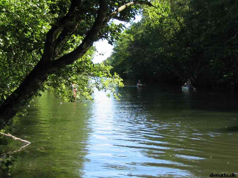 * Image 117