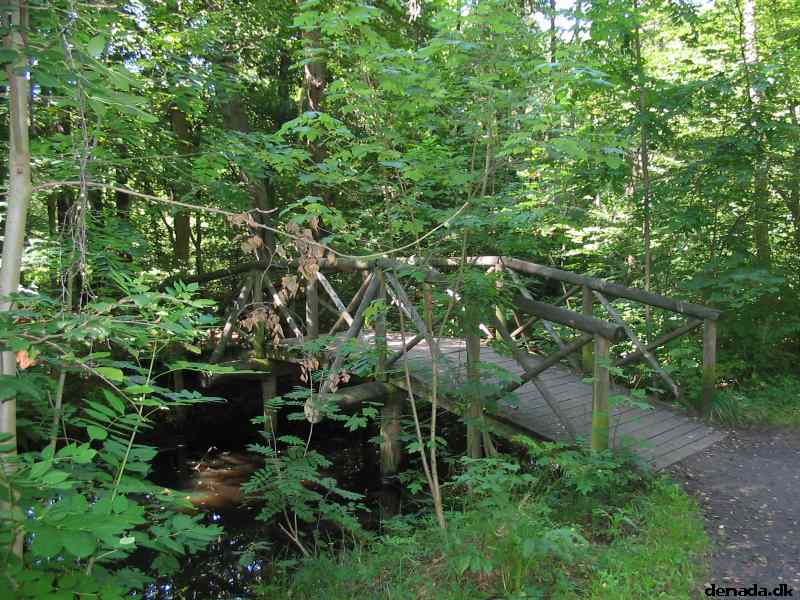 * Image 119
