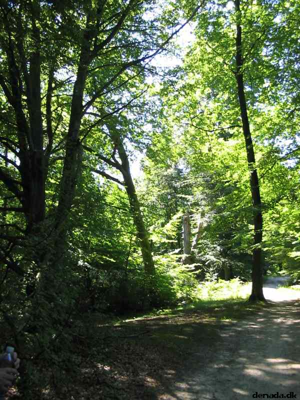 * Image 121