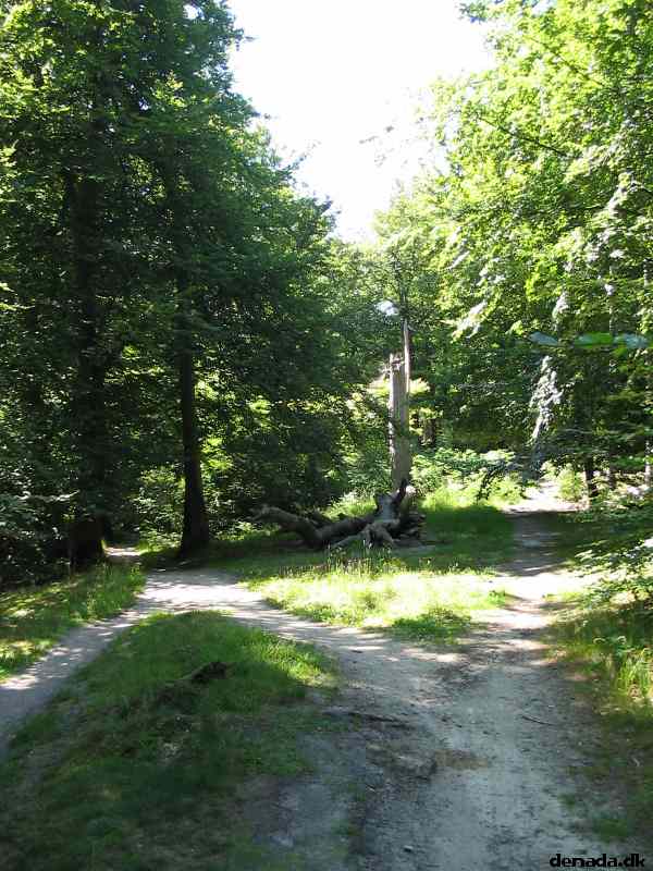 * Image 122