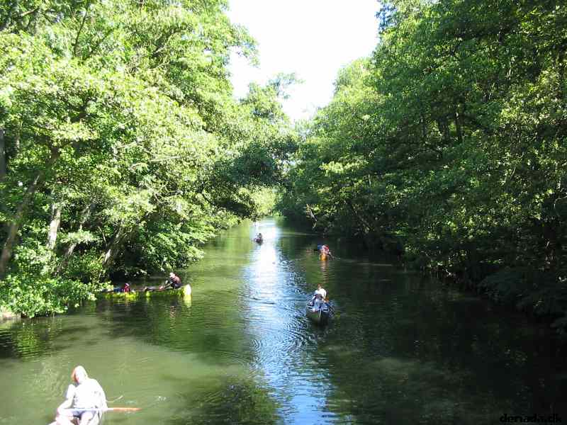 * Image 130