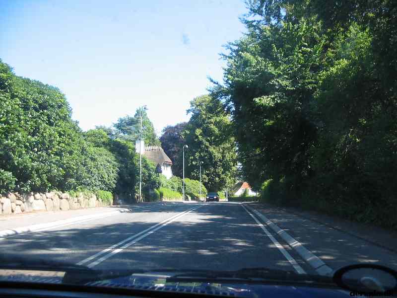 * Image 134