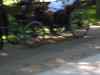 IMG_2300.JPG - 2004:07:29 17:24:56