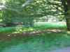 IMG_2303.JPG - 2004:07:29 17:26:22