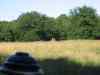 IMG_2313.JPG - 2004:07:29 17:33:07