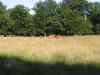 IMG_2321.JPG - 2004:07:29 17:34:14