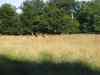IMG_2322.JPG - 2004:07:29 17:34:20