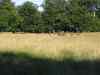 IMG_2323.JPG - 2004:07:29 17:34:31