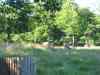 IMG_2333.JPG - 2004:07:29 17:36:59