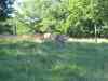 IMG_2334.JPG - 2004:07:29 17:37:10
