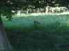 IMG_2355.JPG - 2004:07:29 17:48:03
