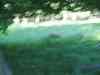 IMG_2356.JPG - 2004:07:29 17:48:10