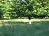 IMG_2357.JPG - 2004:07:29 17:48:56