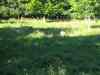 IMG_2362.JPG - 2004:07:29 17:49:44