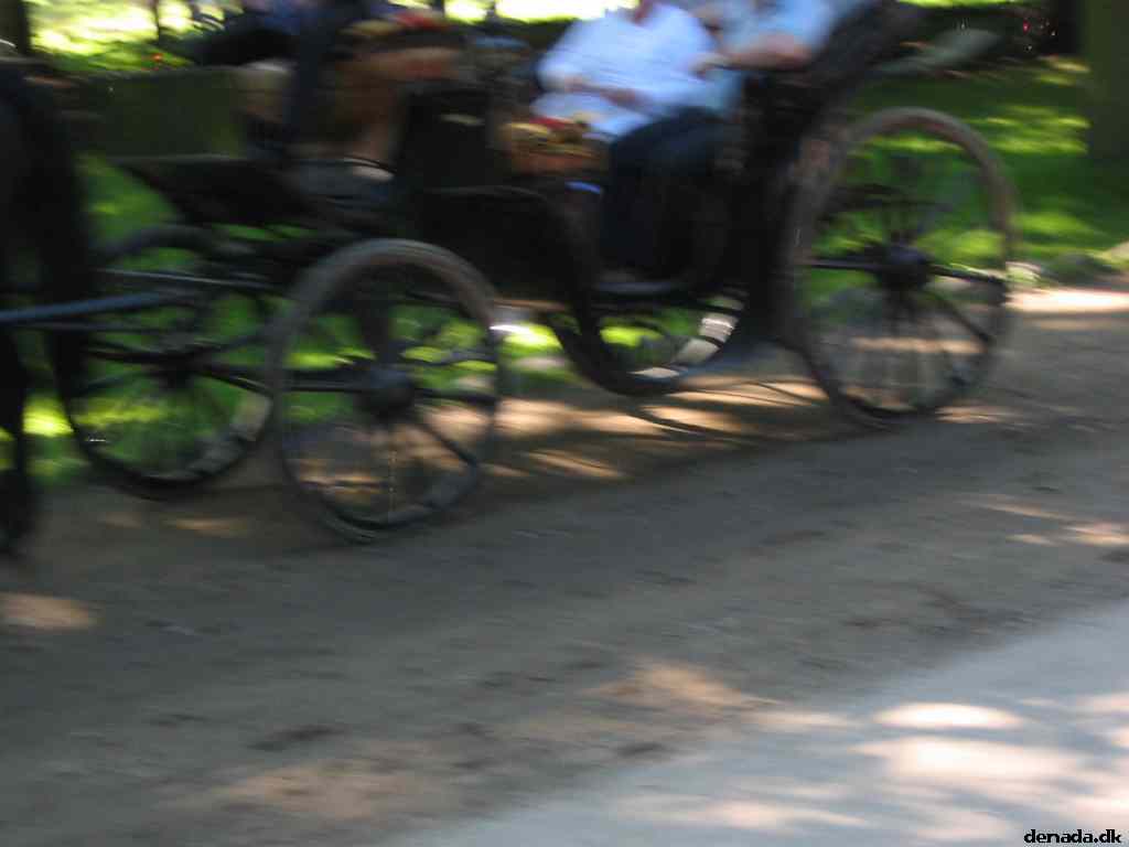 * Image 19