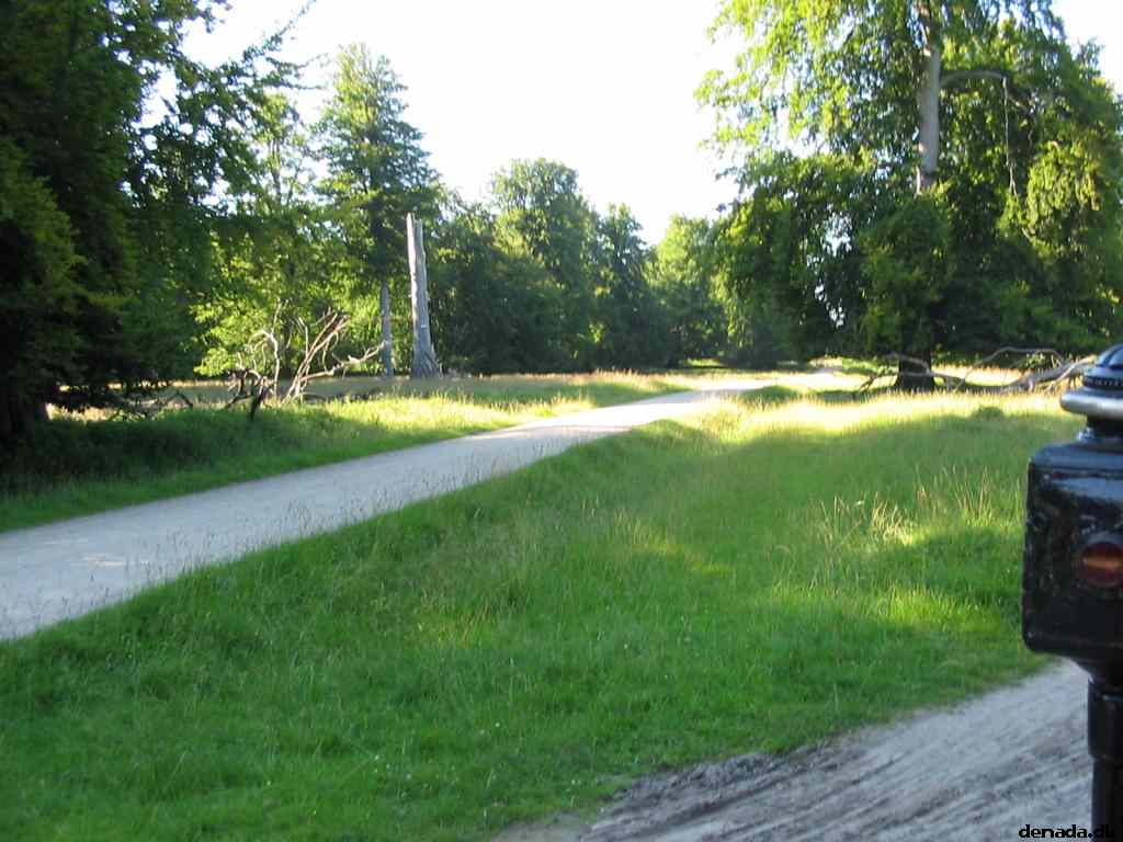 * Image 26