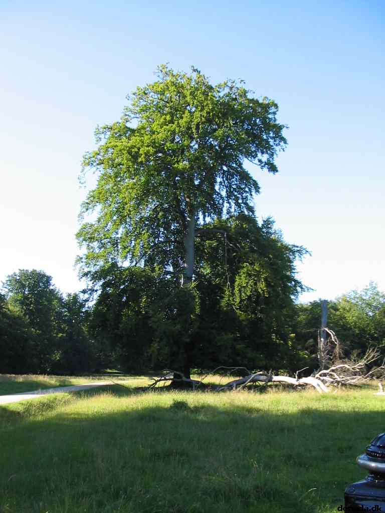 * Image 27