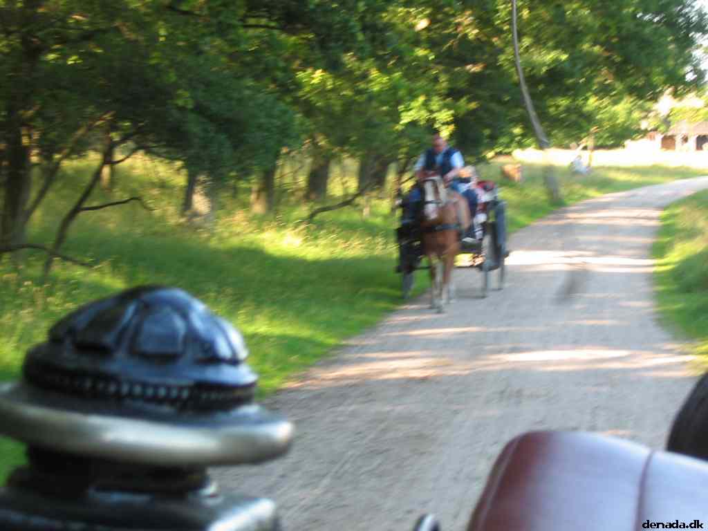 * Image 47
