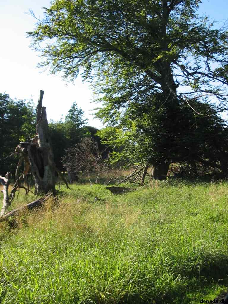 * Image 63