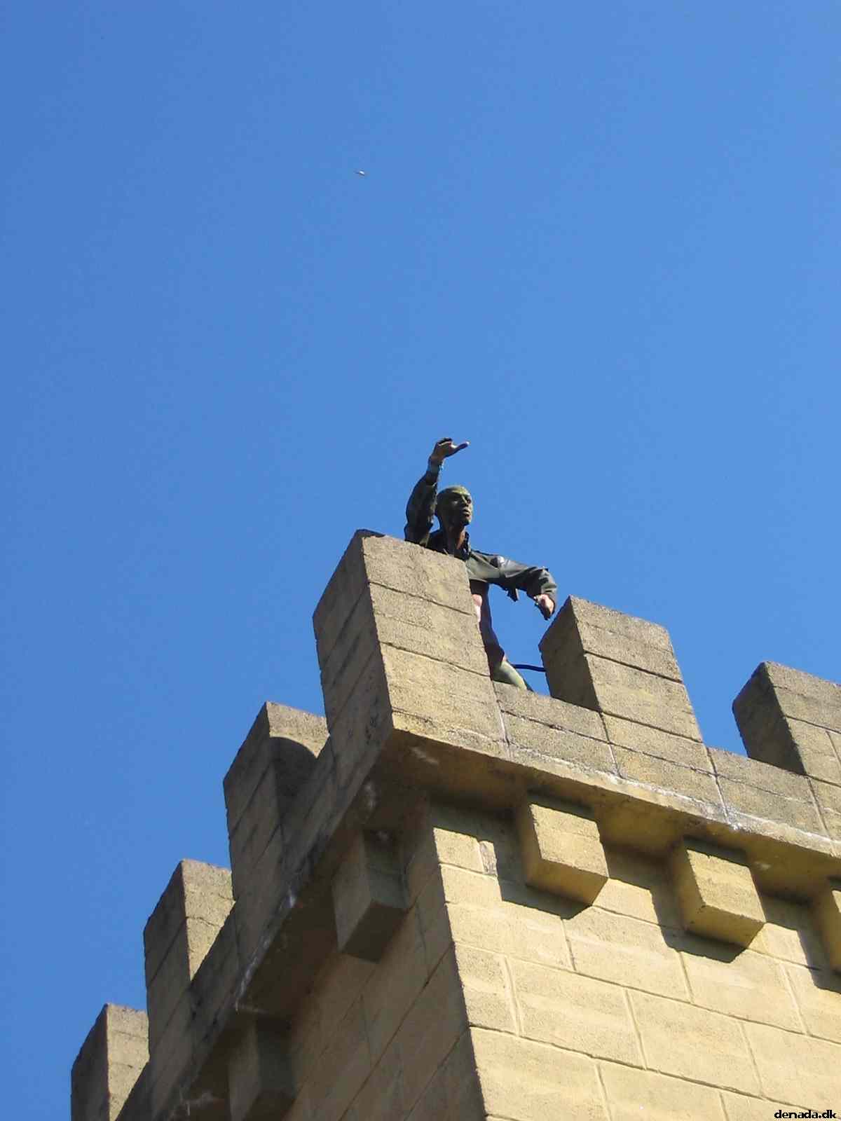 * Image 7