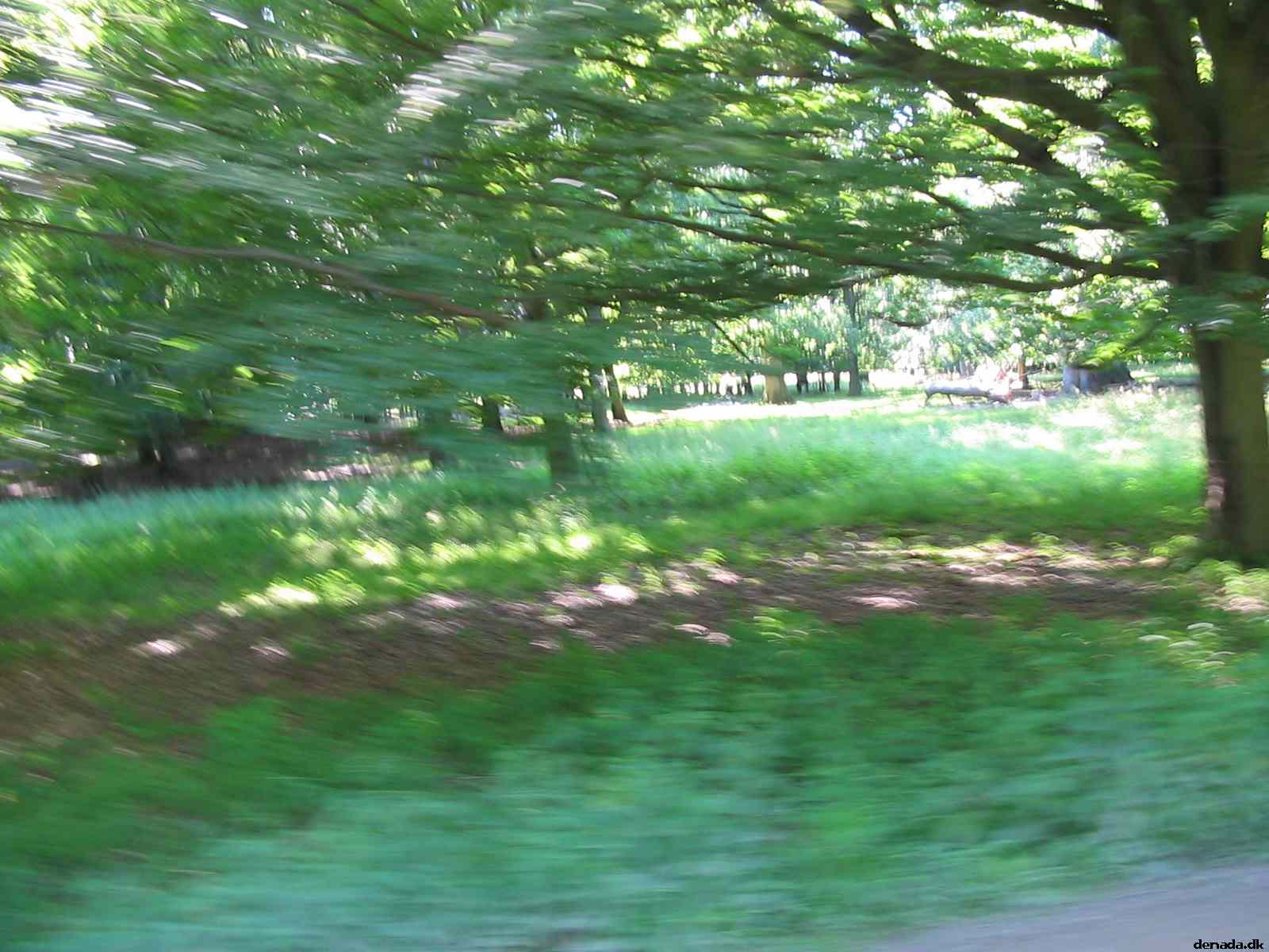 * Image 22