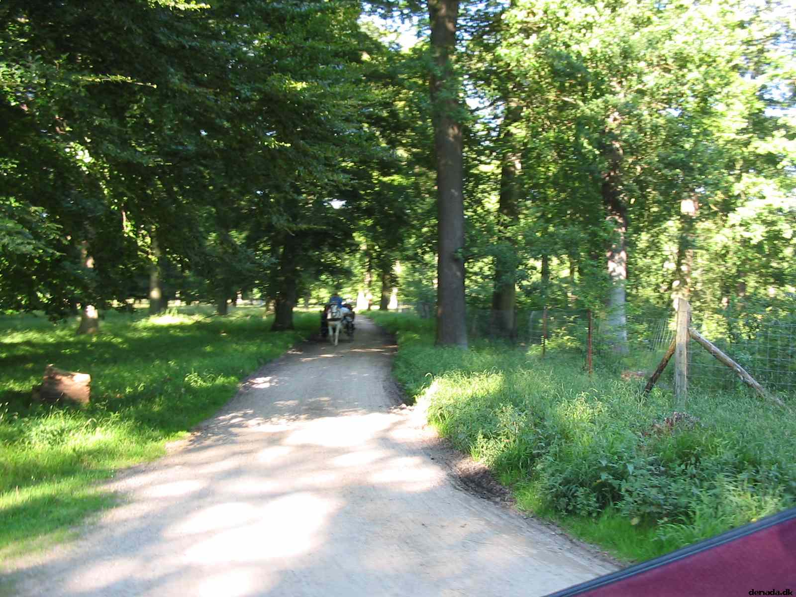 * Image 23