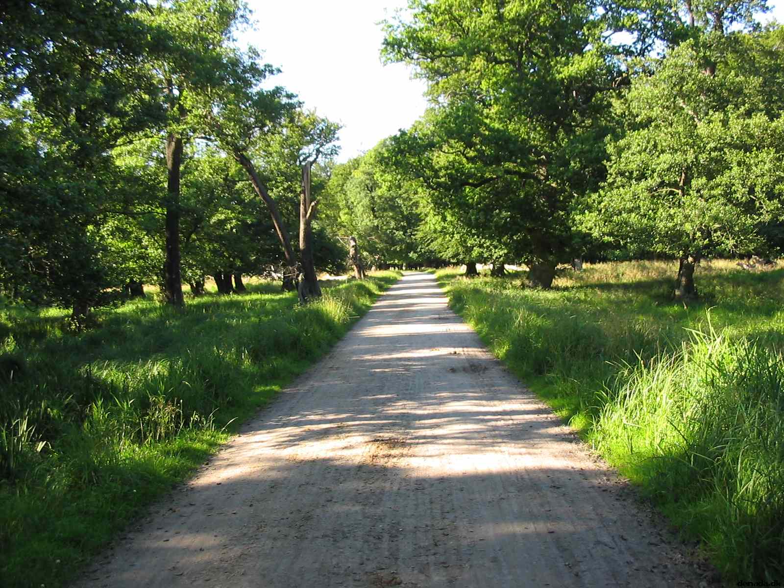 * Image 66