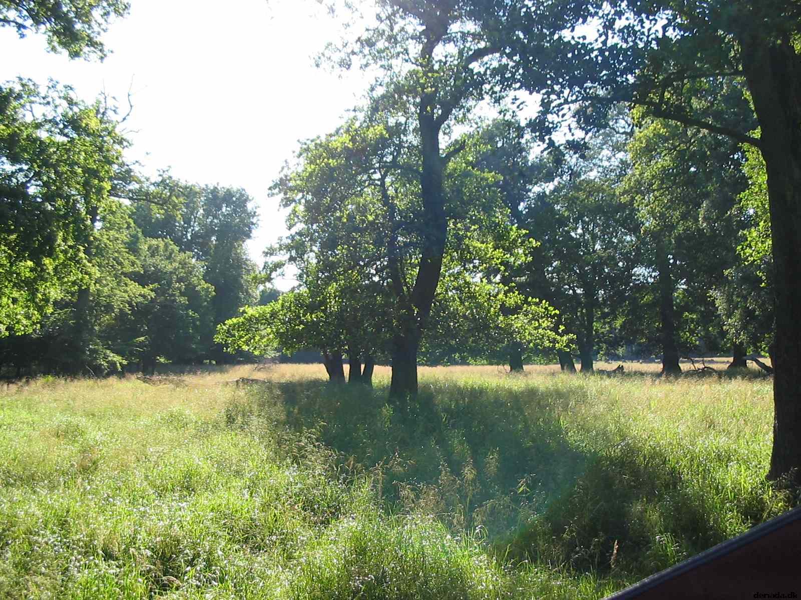 * Image 68