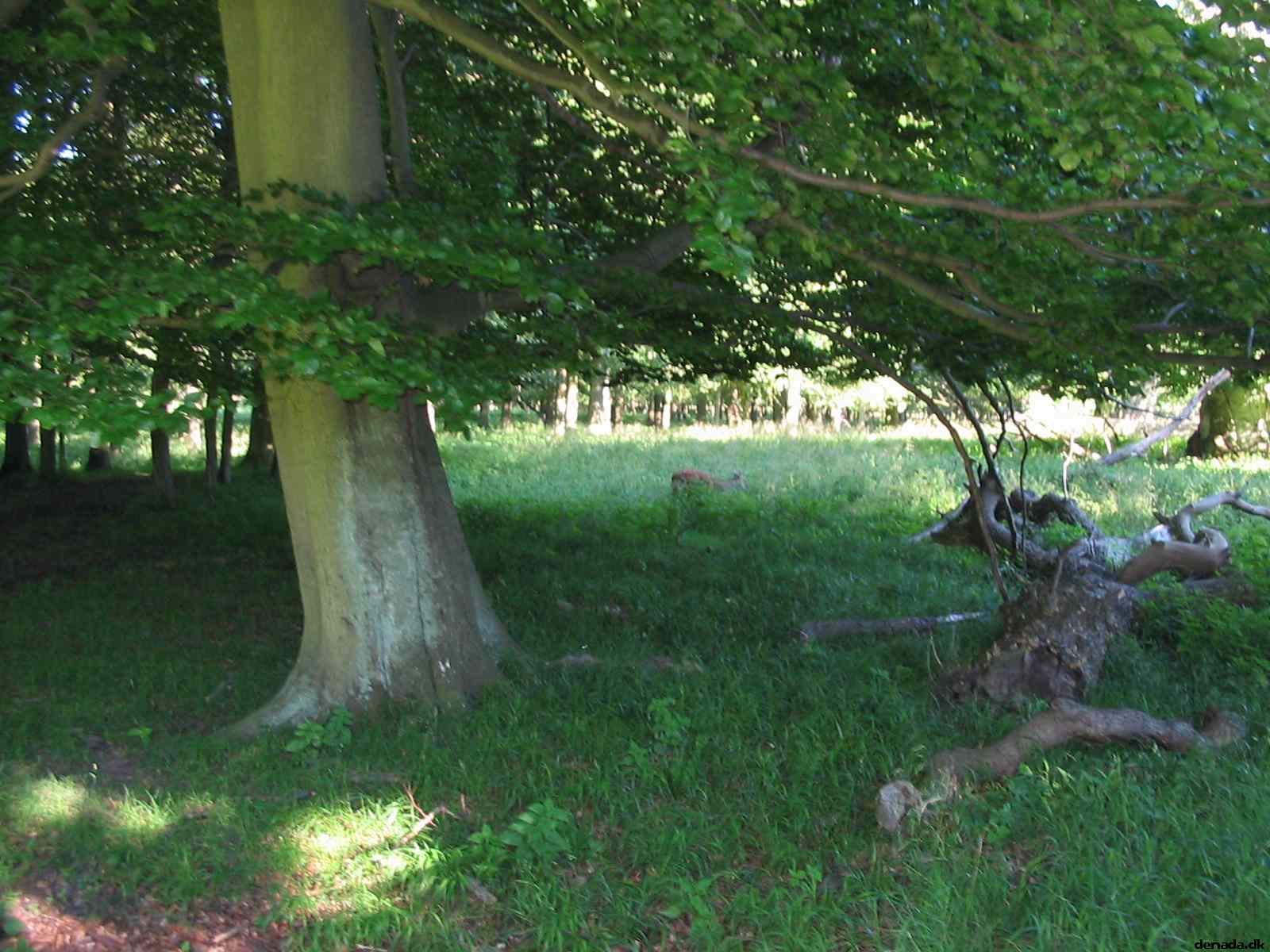 * Image 70
