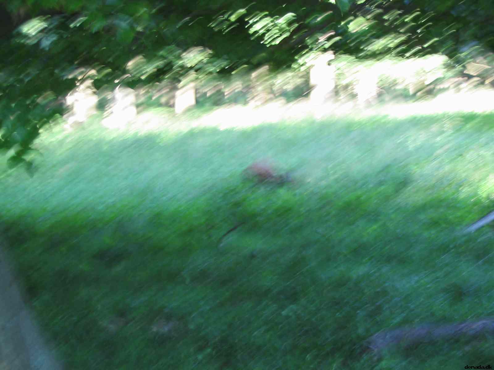 * Image 72