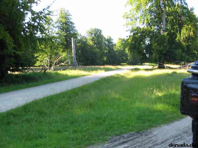 * Image 26