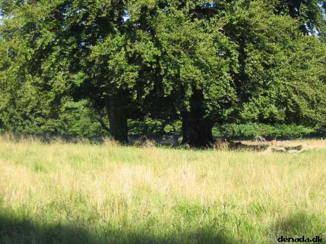 * Image 34