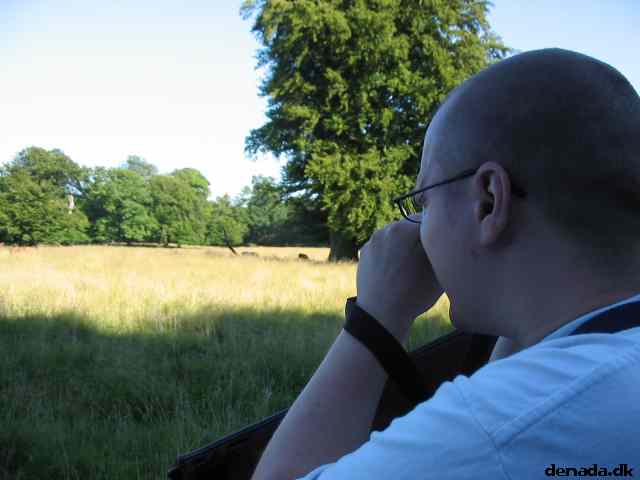 * Image 38