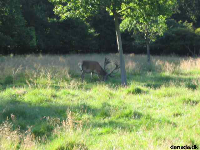 * Image 57
