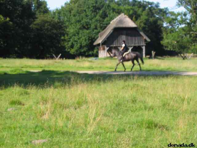 * Image 58
