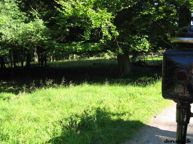 * Image 69