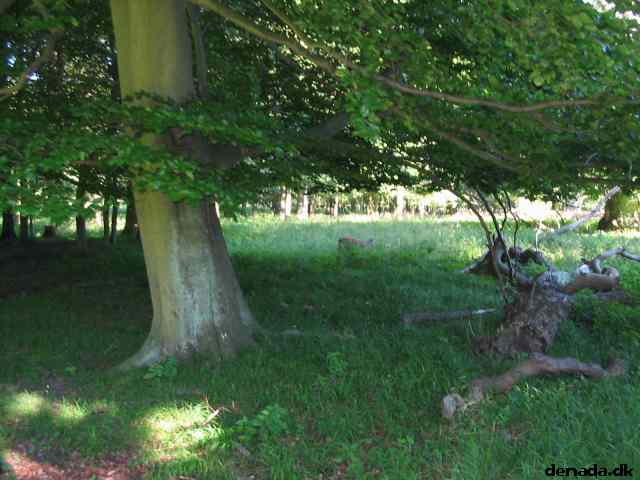 * Image 70